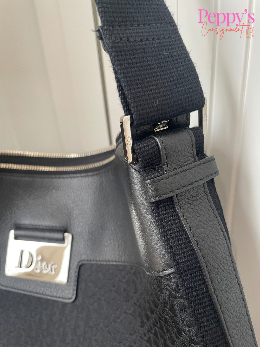 Dior Street Chic Trotter Bag